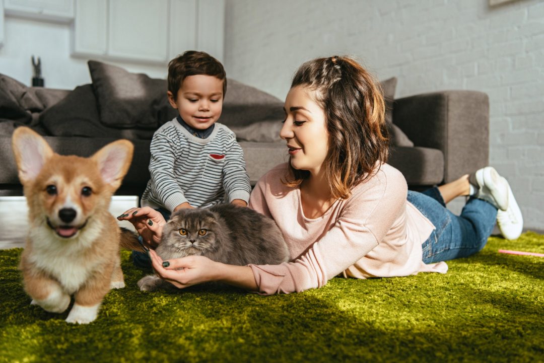 Perro y gato con familia en Partners