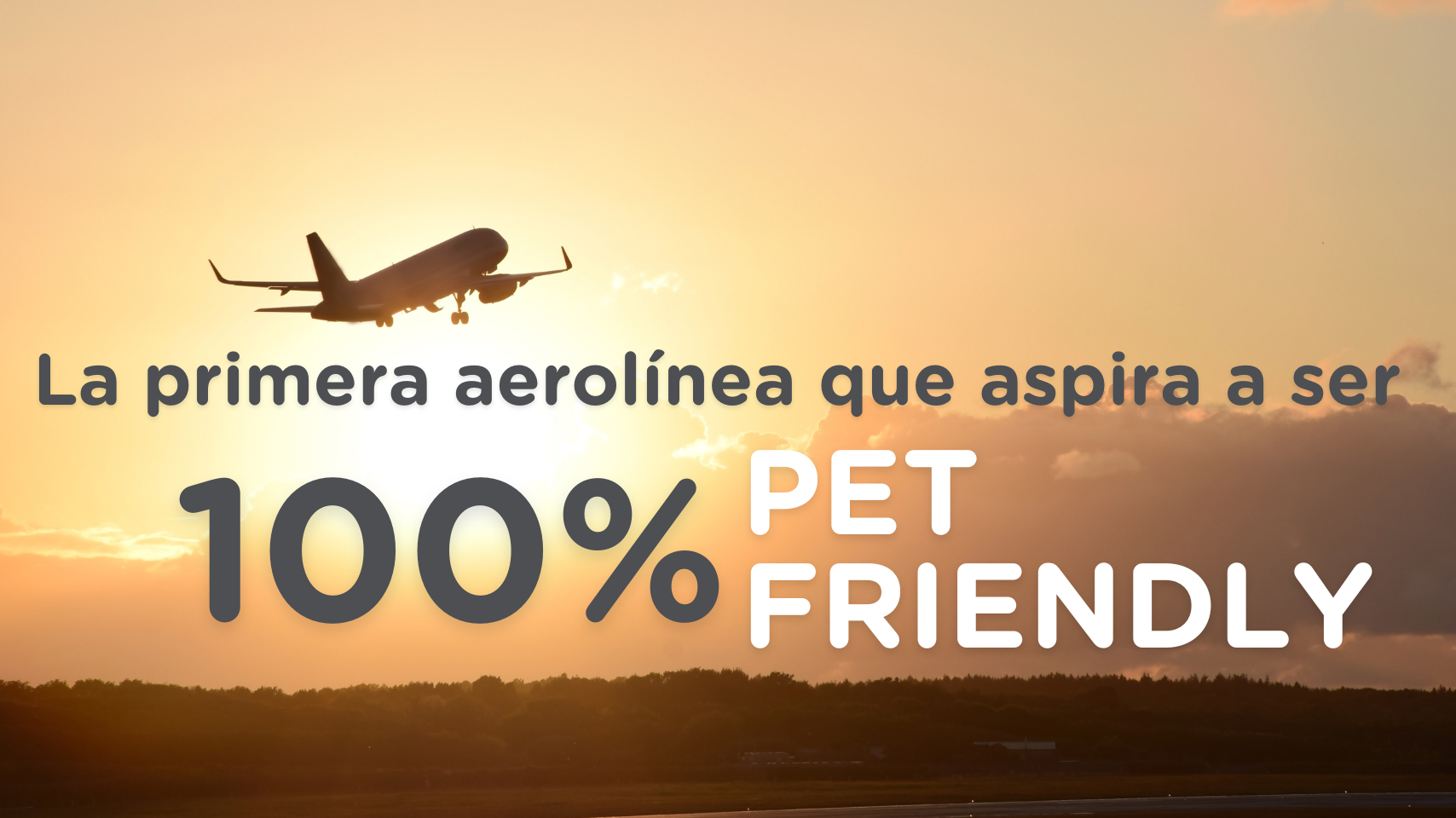 Air Europa + Appmypets