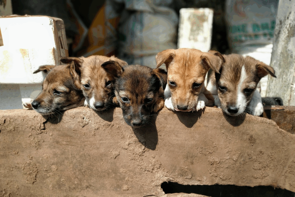 Vacaciones para ti, abandono para ellos