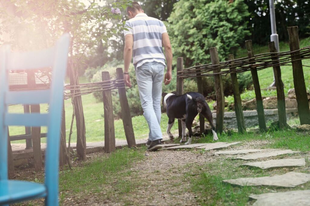 Impuesto por tener perro