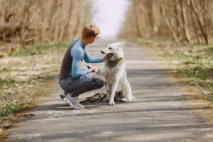 Impuesto por tener perro