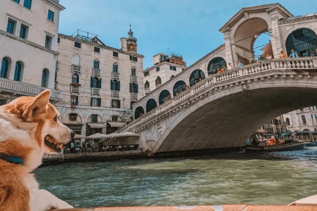 Italia Paraíso pet friendly