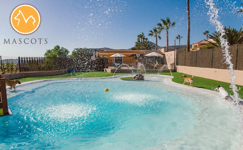 04_gallery_mascots-pet-resort-good-morning-tenerife.jpg