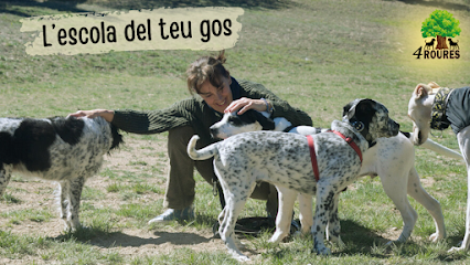 AF1QipMGixwfF0SVM3_tbBaAhUVJjqkOUNCZDz5-AdPGw426-h240-k-no.png