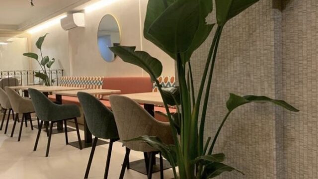 BAR-LA-COSECHA-71F800EA-0292-48A8-8B49-1AEE72925A79-jpeg.jpg