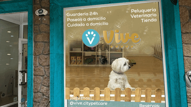 Ejemplo-escaparate-VIVE.png