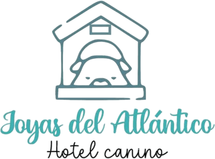 LOGO1.png