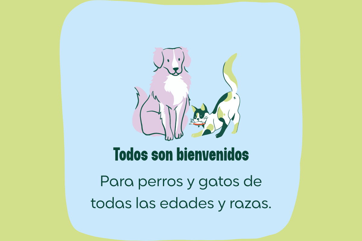 Seguro Responsabilidad Civil Caser