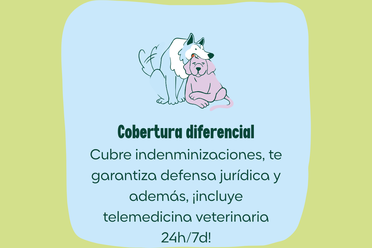 Seguro Responsabilidad Civil Caser