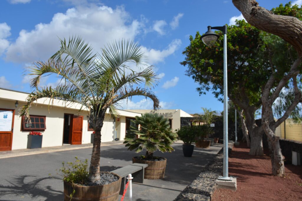 Zona-Dkanes-1024×683-1.jpg
