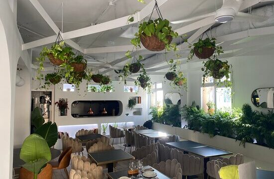el-nuevo-cafe-chic.jpg
