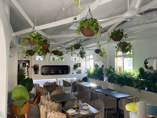 el-nuevo-cafe-chic.jpg