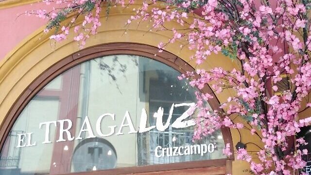 el-tragaluz-restaurante.jpg