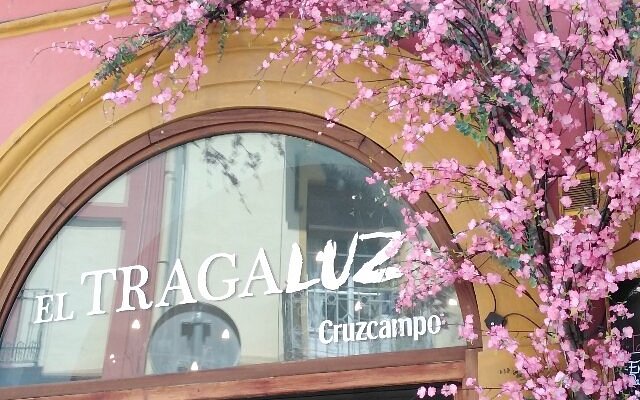 el-tragaluz-restaurante.jpg