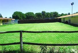 images-9.jpg