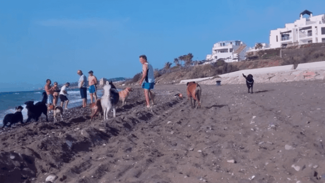 playa-para-perros-piedra-paloma-casares-3.png