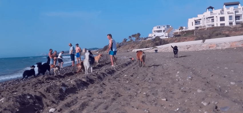playa-para-perros-piedra-paloma-casares-3.png