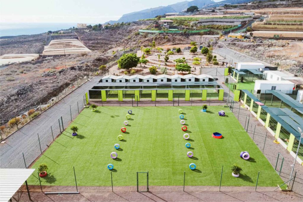 residencia-canina-tenerife-koala-pets-home-instalaciones-desde-arriba.jpg
