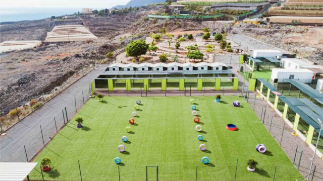 residencia-canina-tenerife-koala-pets-home-instalaciones-desde-arriba.jpg