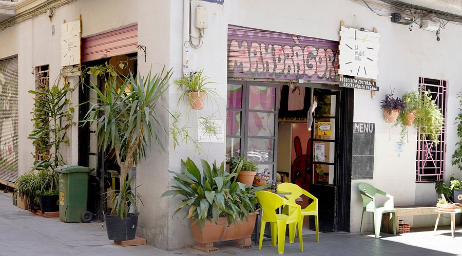 vista-del-local-desde.jpg