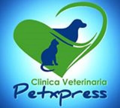 logo-cuadrado